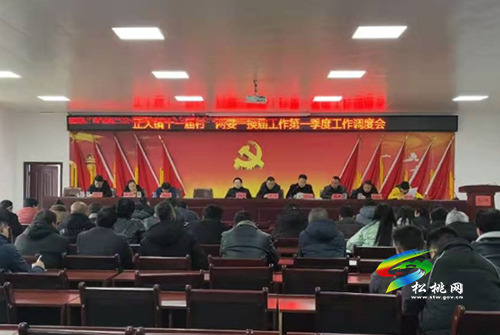 【嚴(yán)肅換屆紀(jì)律】正大鎮(zhèn)召開第十一屆村（社區(qū)）“兩委”換屆選舉工作調(diào)度會(huì)