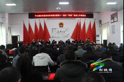 【嚴(yán)肅換屆紀(jì)律】平頭鎮(zhèn)召開(kāi)2021年重點(diǎn)工作暨第十一屆村“兩委”換屆工作調(diào)度會(huì)