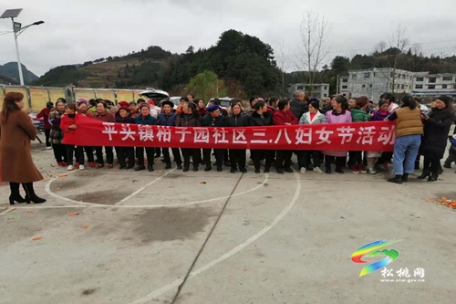 平頭鎮(zhèn)：巾幗心向黨 凝聚“她”力量