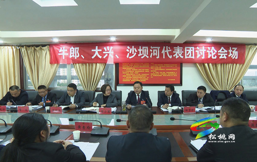 人大代表分團(tuán)審議縣人大常委會與“兩院”工作報(bào)告