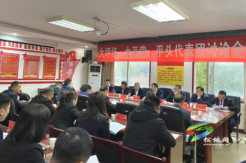 人大代表分團(tuán)審議縣人大常委會與“兩院”工作報(bào)告