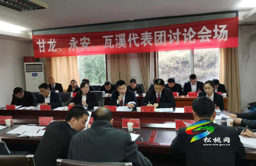 人大代表分團(tuán)審議縣人大常委會與“兩院”工作報(bào)告
