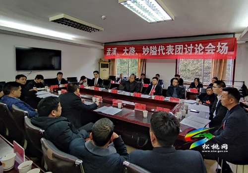 人大代表分團(tuán)審議縣人大常委會與“兩院”工作報(bào)告