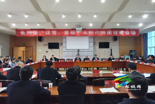 人大代表分團(tuán)審議縣人大常委會與“兩院”工作報(bào)告