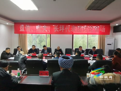 人大代表分團(tuán)審議縣人大常委會與“兩院”工作報(bào)告