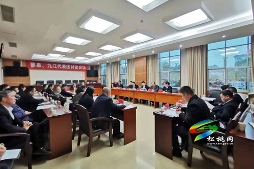 人大代表分團(tuán)審議縣人大常委會與“兩院”工作報(bào)告