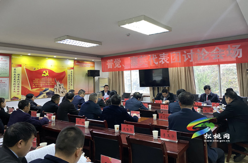 人大代表分團(tuán)審議縣人大常委會與“兩院”工作報(bào)告