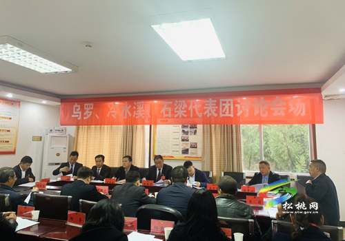 人大代表分團(tuán)審議縣人大常委會與“兩院”工作報(bào)告