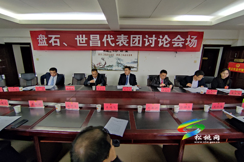 人大代表分團(tuán)審議縣人大常委會與“兩院”工作報(bào)告