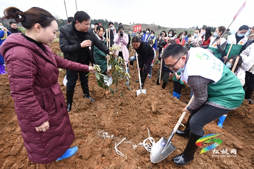 我為家鄉(xiāng)捐棵樹 同心共建春暉林