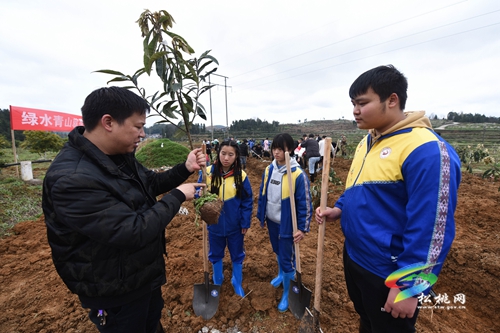 我為家鄉(xiāng)捐棵樹 同心共建春暉林