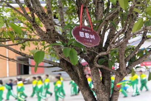 植樹節(jié)這天的“紅領(lǐng)巾們”