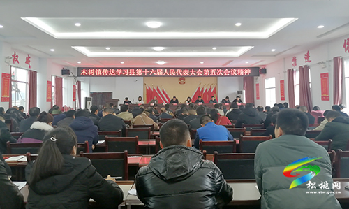 ​木樹(shù)鎮(zhèn)傳達(dá)全縣“兩會(huì)”精神