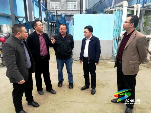 ​楊昌海張軍到蓼皋街道調(diào)研生態(tài)環(huán)境保護工作