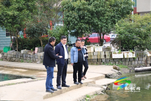 胡定欽到盤(pán)信鎮(zhèn)督導(dǎo)生態(tài)環(huán)境保護(hù)工作
