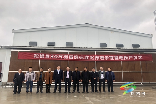 松桃：30萬羽蛋雞標準化養(yǎng)殖示范基地投產(chǎn)使用
