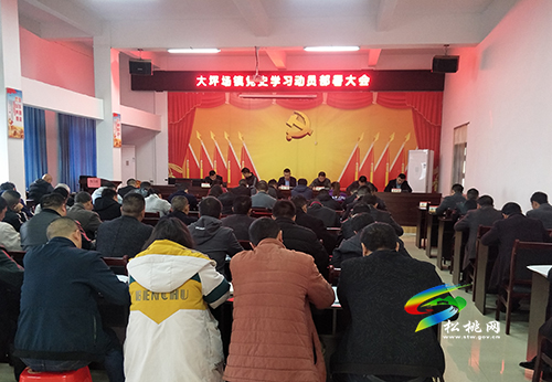 大坪場鎮(zhèn)召開黨史學(xué)習(xí)教育動員大會