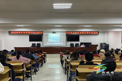 松桃第四幼兒園舉辦春季常見傳染病預(yù)防知識及意外傷害處理辦法專項培訓(xùn)