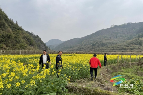 普覺鎮(zhèn)開展禁種鏟毒踏查大行動(dòng)