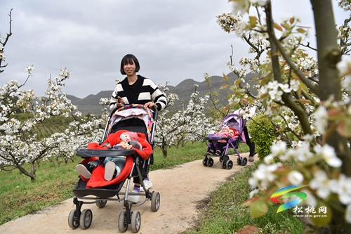 正大鎮(zhèn)長(zhǎng)征村：“鄉(xiāng)村旅游+”助力鄉(xiāng)村振興