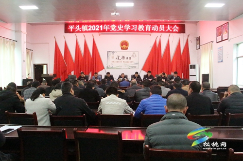 【奮斗百年路 啟航新征程】平頭鎮(zhèn)召開(kāi)年黨史學(xué)習(xí)教育動(dòng)員大會(huì)