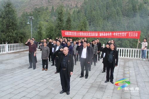 【奮斗百年路 啟航新征程】縣人大常委會(huì)機(jī)關(guān)黨支部開展“緬懷革命先烈 傳承紅色能量”黨員活動(dòng)