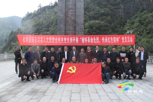 【奮斗百年路 啟航新征程】縣人大常委會(huì)機(jī)關(guān)黨支部開展“緬懷革命先烈 傳承紅色能量”黨員活動(dòng)