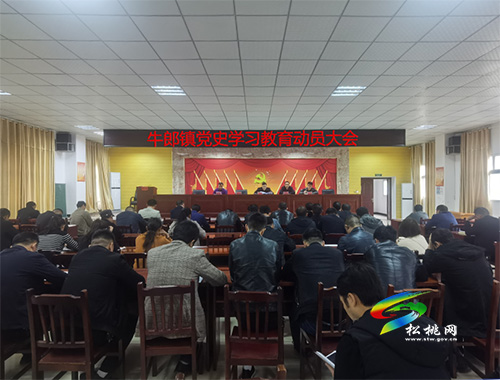 【奮斗百年路 啟航新征程】牛郎鎮(zhèn)召開黨史學習教育動員大會