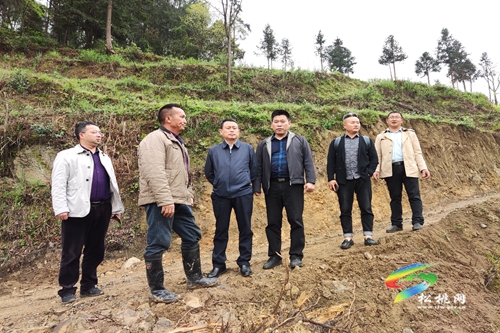 龍群躍到甘龍永安石梁調研鄉(xiāng)村振興、打擊治理電信網(wǎng)絡違法犯罪等工作