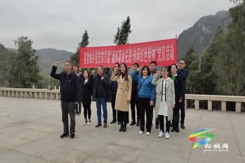【網(wǎng)絡(luò)中國節(jié)·清明】縣委編辦黨支部開展“緬懷革命先烈 傳承紅色精神”黨員活動