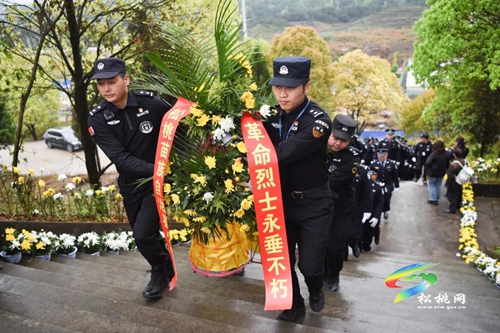 松桃開展清明節(jié)“學(xué)黨史、祭英烈、踐初心”黨史學(xué)習(xí)教育實(shí)踐活動
