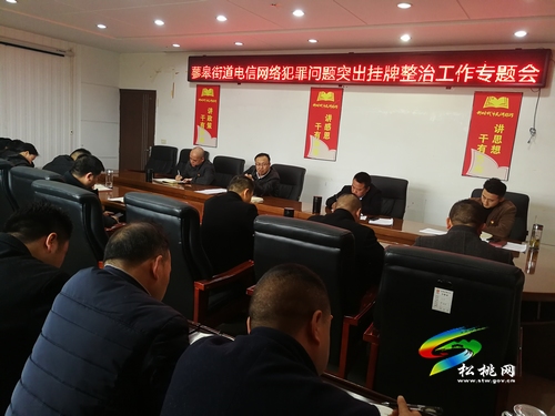 蓼皋街道召開電信網絡犯罪問題突出掛牌整治工作專題會