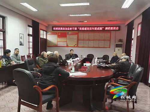 【奮斗百年路 啟航新征程】松桃召開“我看建黨百年新成就”專題調(diào)研座談會