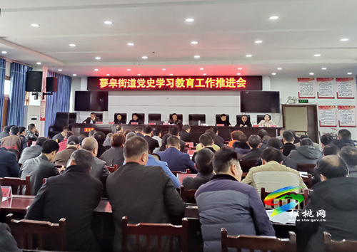 【奮斗百年路 啟航新征程】蓼皋街道召開黨史學習教育推進會