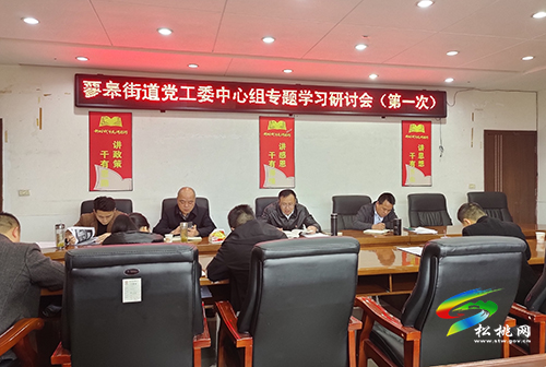 【奮斗百年路 啟航新征程】蓼皋街道開展黨史學(xué)習(xí)教育第一次專題學(xué)習(xí)研討會