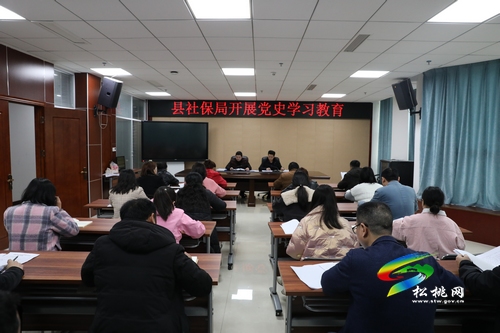 【奮斗百年路 啟航新征程】松桃人社局:黨支部上下聯(lián)動(dòng)高效推動(dòng)人社綜合服務(wù)智能、便民