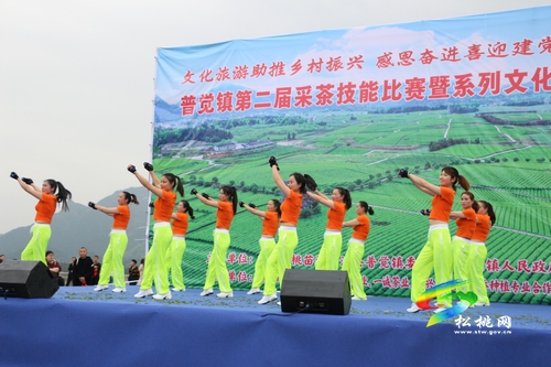 “茶旅”融合助力鄉(xiāng)村振興