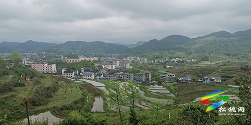 “沿長江黃河行，鑄黨的百年魂”活動系列報道（二）