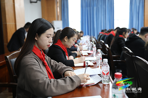 ​銅仁市少工委一行赴松觀摩少先隊工作并召開市少工委一屆四次全委（擴大）會議