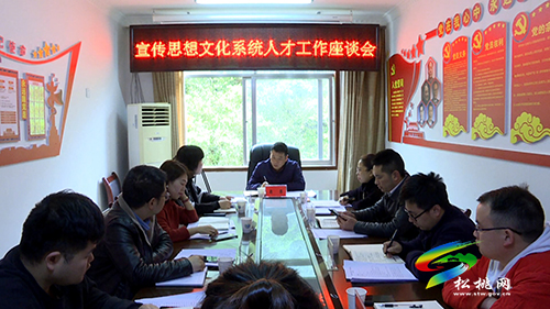 松桃宣傳思想文化系統(tǒng)人才工作座談會召開