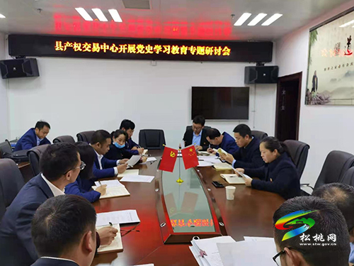 【奮斗百年路　啟航新征程】​縣產(chǎn)權交易中心開展黨史學習教育“學深悟透”專題研討會