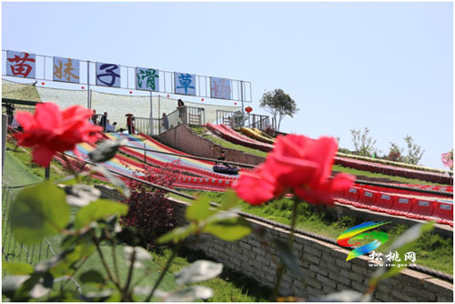 五一旅游新體驗(yàn)，讓我們一起滑草吧