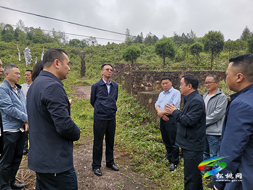 省民政廳副廳長(zhǎng)王斌一行來(lái)松調(diào)研殯葬改革工作