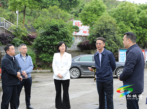 省民政廳副廳長(zhǎng)王斌一行來(lái)松調(diào)研殯葬改革工作