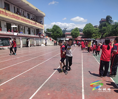 ​太平營中心完小開展夏季運動會