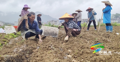 普覺(jué)鎮(zhèn)干背河村:村民既學(xué)技能又創(chuàng)收