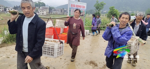 普覺(jué)鎮(zhèn)干背河村:村民既學(xué)技能又創(chuàng)收