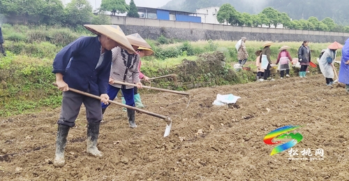 普覺(jué)鎮(zhèn)干背河村:村民既學(xué)技能又創(chuàng)收