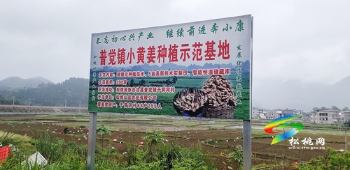 普覺(jué)鎮(zhèn)干背河村:村民既學(xué)技能又創(chuàng)收