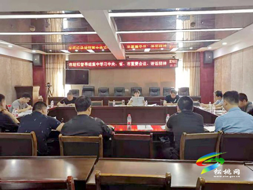 【奮斗百年路 啟航新征程】​市駐松督導(dǎo)組召開黨史學(xué)習(xí)教育第一次專題學(xué)習(xí)研討會(huì)
